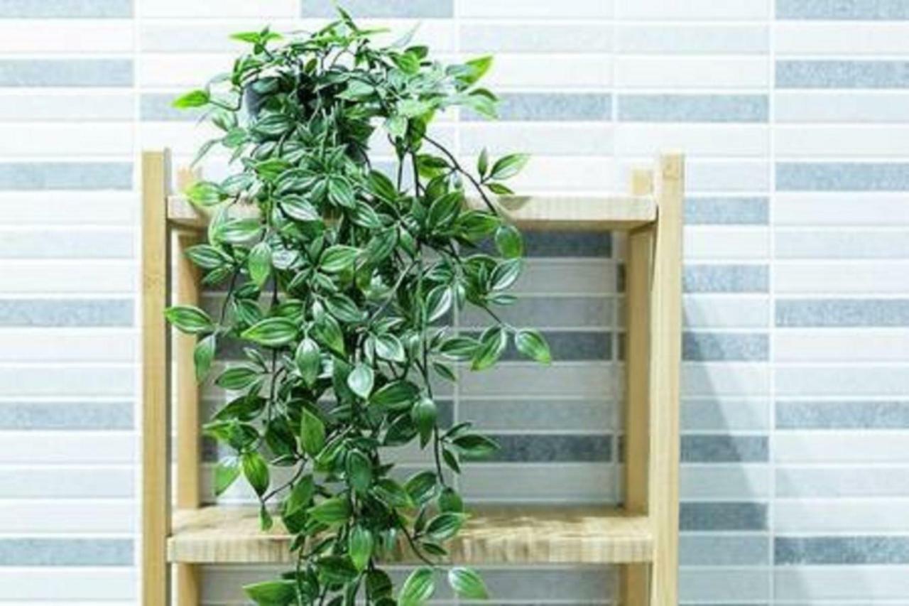 Family Apartment Patio&Swimming Pool In Center 말라가 외부 사진